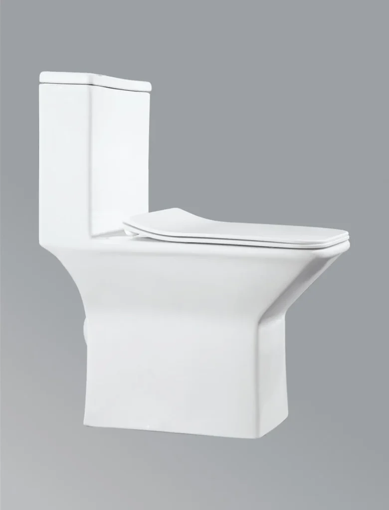 One-piece toilet with soft-close seat cover in white S-220