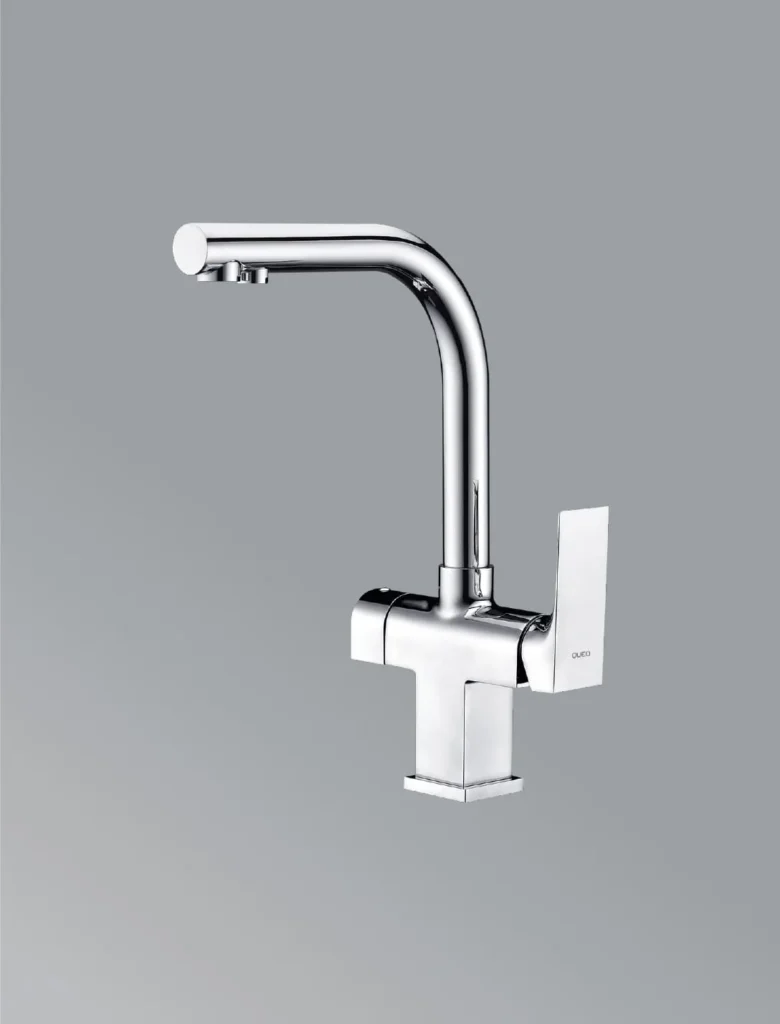 Dual Kitchen Faucet